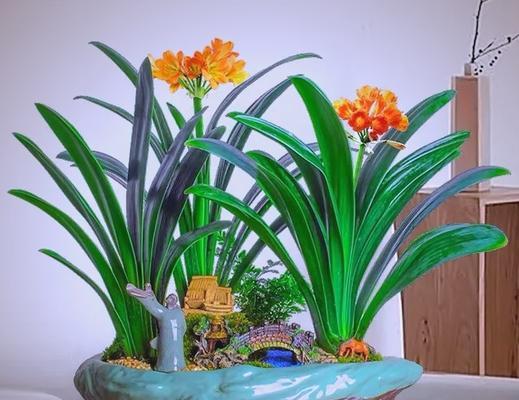 哪些花卉耐阴？耐阴花卉的养护要点是什么？