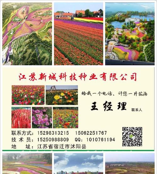 格桑花播种步骤是什么？怎样提高发芽率？