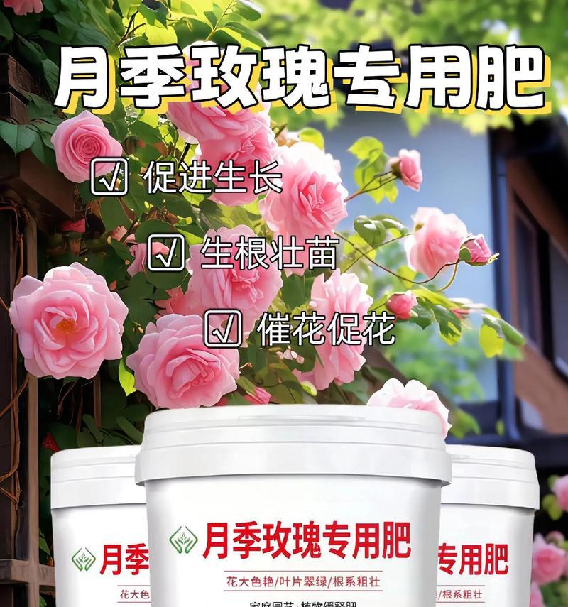 月季花施什么肥料？月季花的施肥指南是什么？