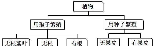 植物的分类方法有哪些？如何科学地进行植物分类？
