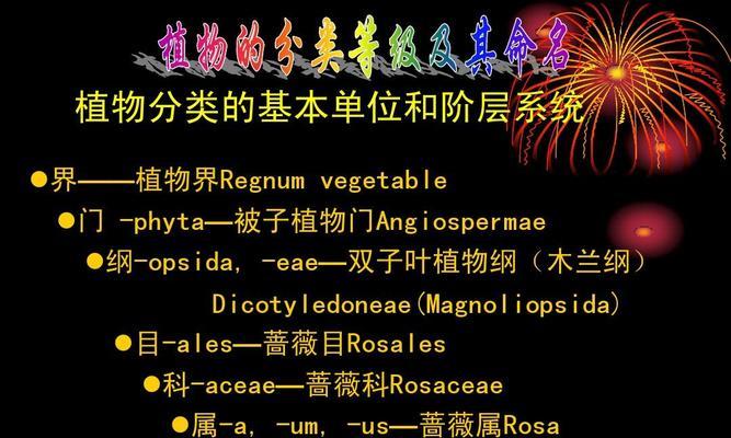 植物的分类方法有哪些？如何科学地进行植物分类？