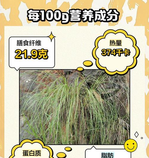 龙须草的养殖方法有哪些？如何保持龙须草的健康生长？
