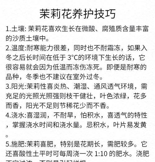 秋季茉莉花的养护技巧有哪些？