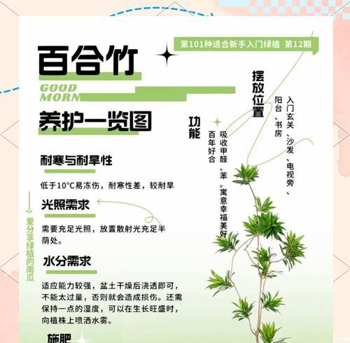 连花竹的养护技巧有哪些？