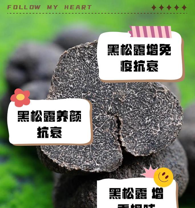 黑松快速生根的秘诀是什么？