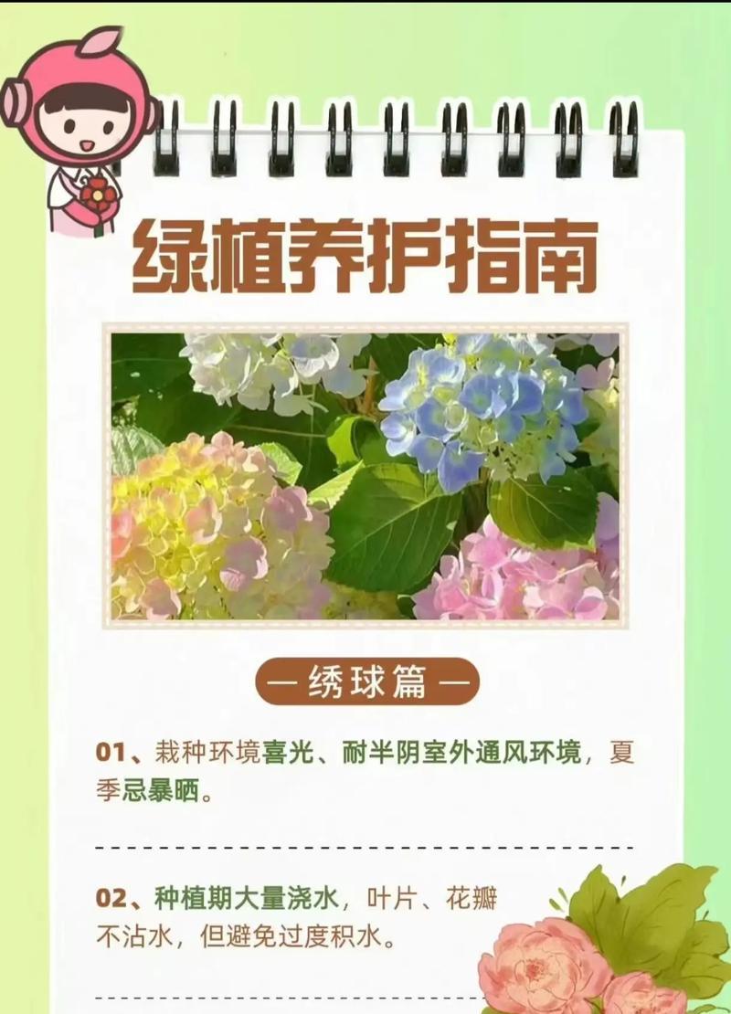 花卉植物的分类和养护方法是什么？
