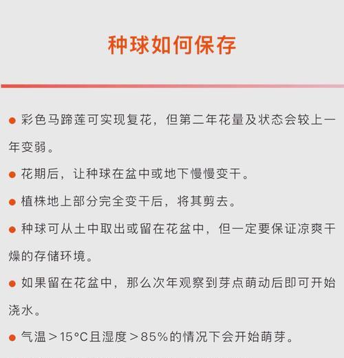 马蹄莲种植的步骤和技巧是什么？