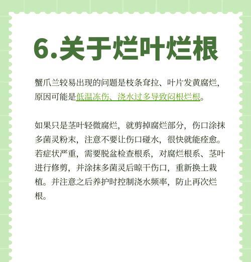 蟹爪兰的养殖方法和注意事项是什么？