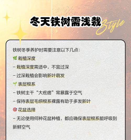 铁树养护的常见问题有哪些？