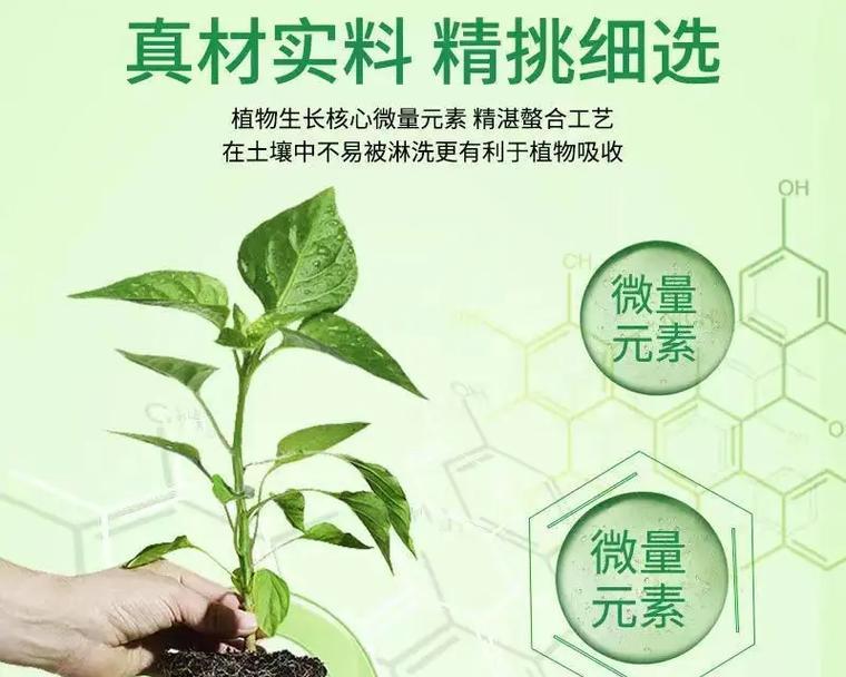 绿植施什么肥？室内植物施肥的正确方法？