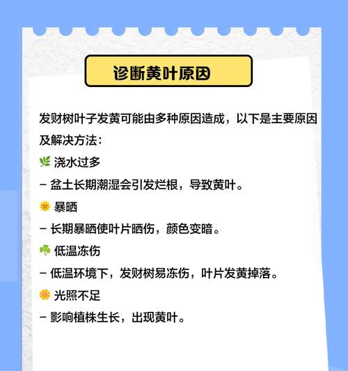 发财树叶子发黄怎么办？补救措施和预防方法是什么？