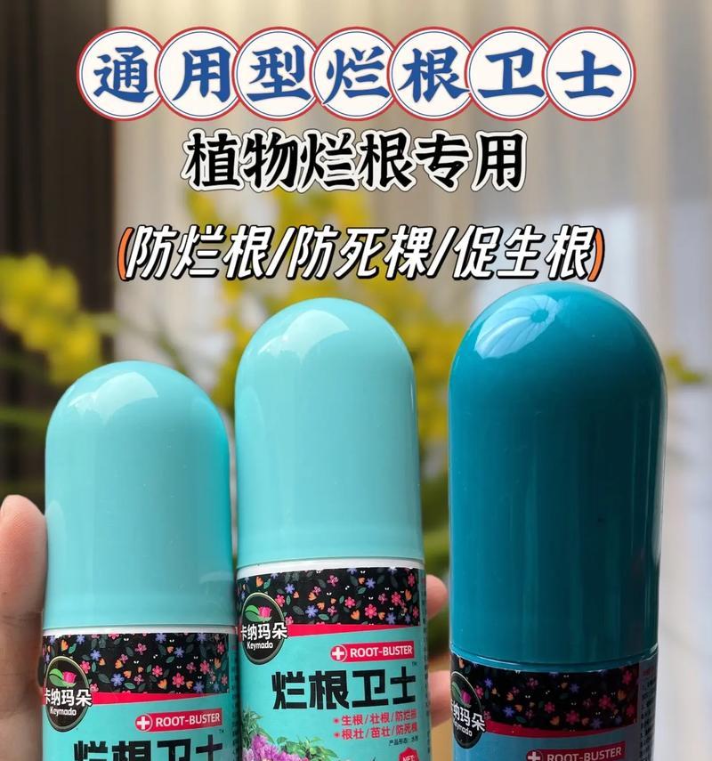 植物烂根了怎么办？如何快速恢复？