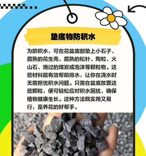 植物烂根了怎么办？如何快速恢复？