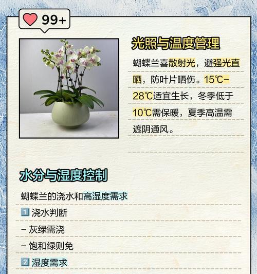 白蝴蝶兰的养殖技巧和注意事项？