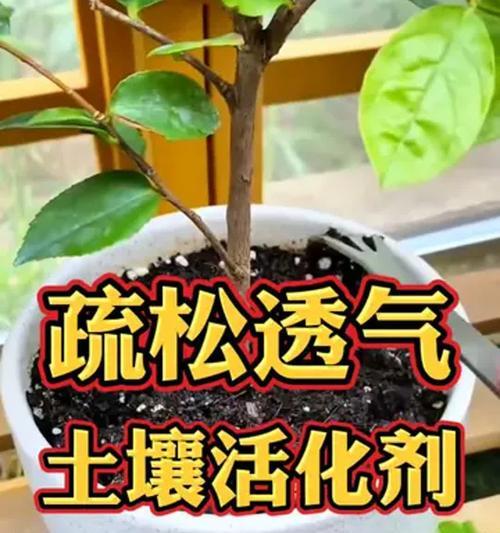 花盆土壤铺设的正确方式是什么？