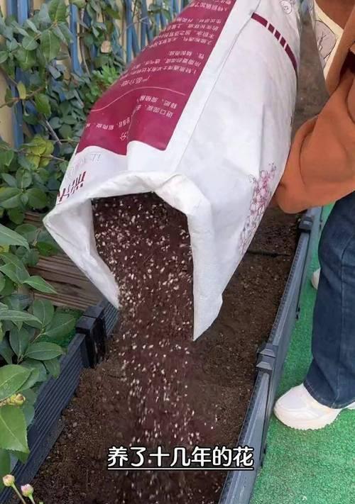 种花的土怎样配制才能保持松软？