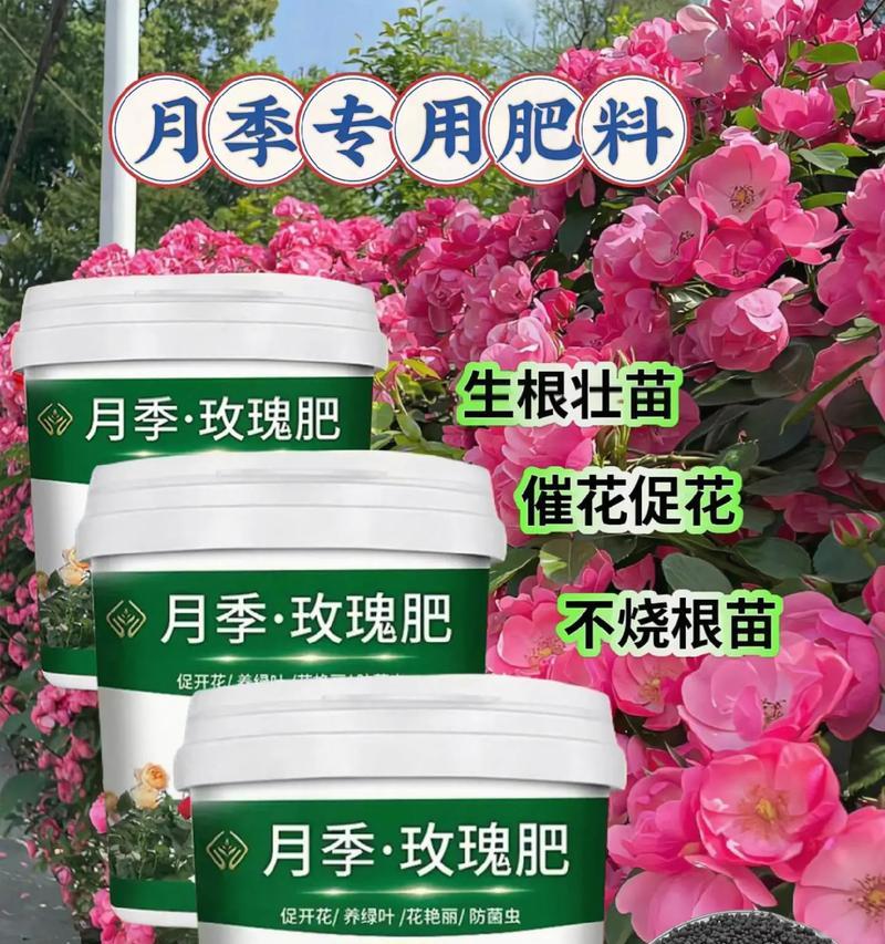 花怎么施肥？花卉施肥的正确步骤和注意事项是什么？
