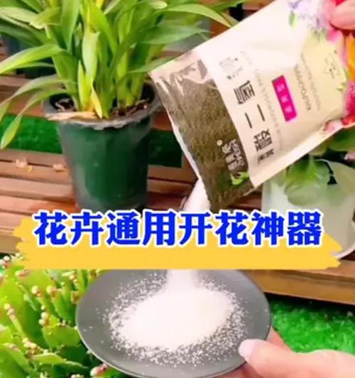 花怎么施肥？花卉施肥的正确步骤和注意事项是什么？