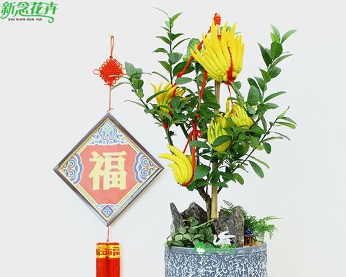 佛手花繁殖技巧是什么？