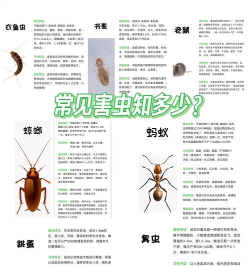 植物长虫怎么办？如何有效防治植物害虫？