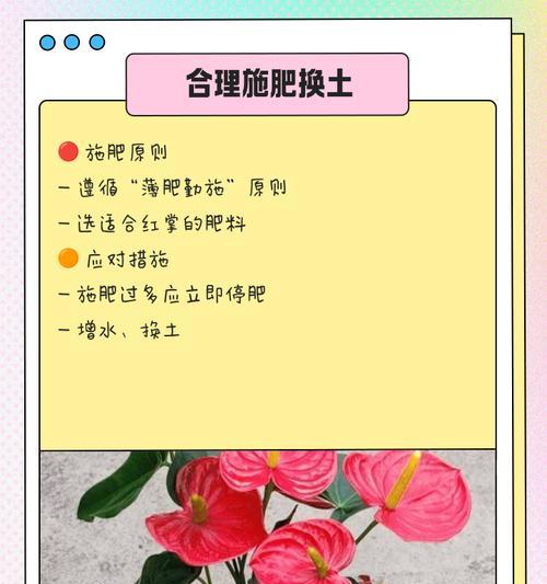 水养红掌不开花怎么办？