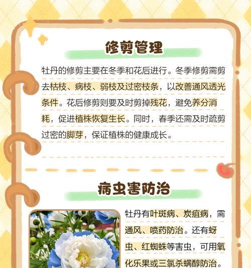 牡丹花分株步骤和注意事项是什么？