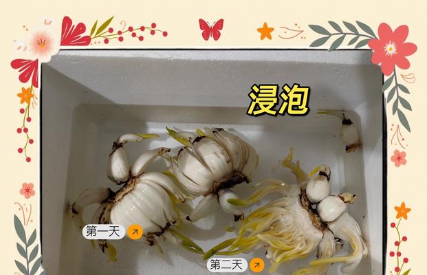 水仙根部腐烂的处理方法是什么？
