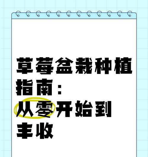 草莓种子种植的详细指南是什么？