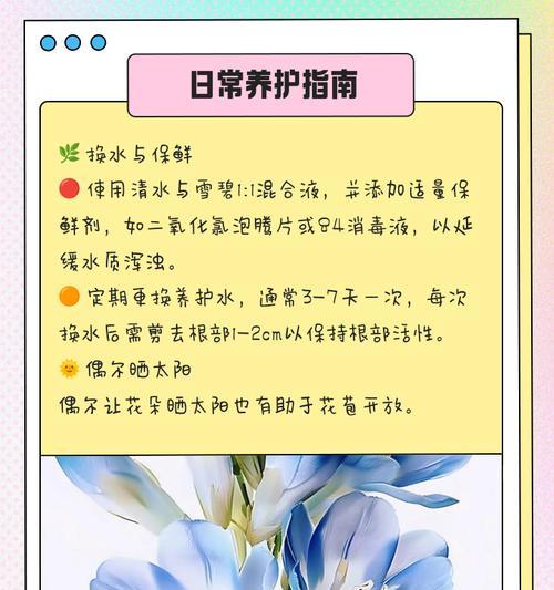 苍兰的养殖要点是什么？