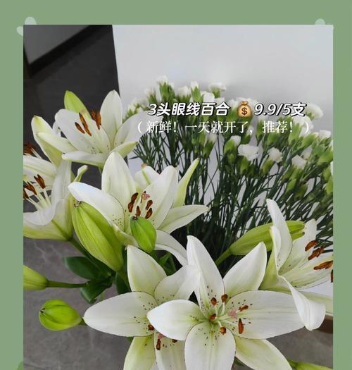 鲜花种植需要注意哪些事项？如何保持鲜花的新鲜度？