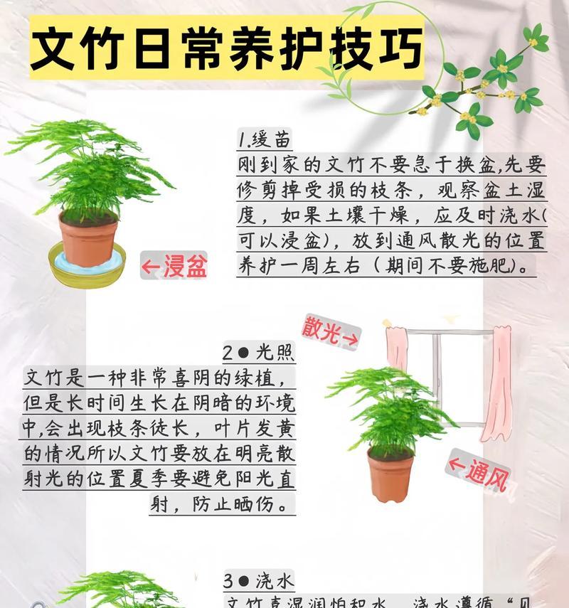 换盆的正确步骤和注意事项是什么？