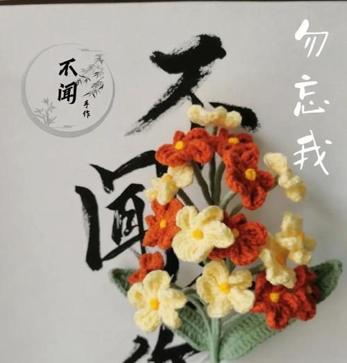 勿忘我种子播种步骤详解？