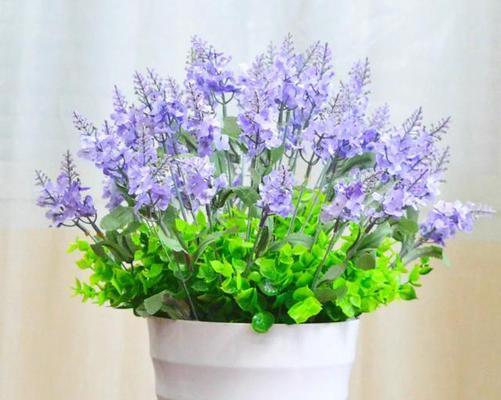 什么花放到卧室最好？卧室适宜摆放的花卉及其好处是什么？