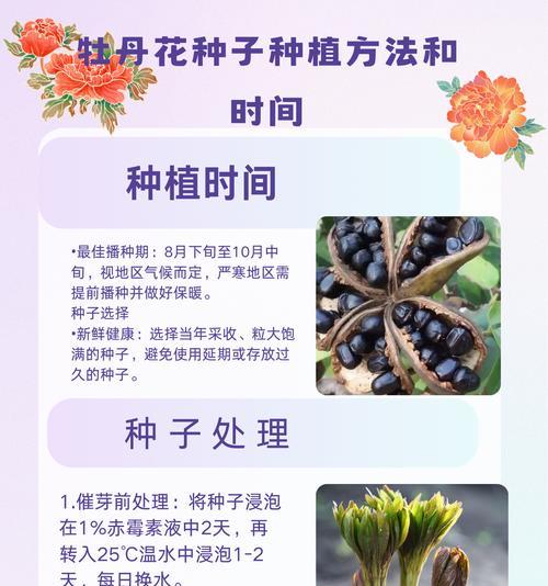 牡丹嫁接的原因是什么？嫁接对牡丹生长有何益处？