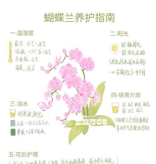 花蝴蝶植物的养护和繁殖技巧是什么？