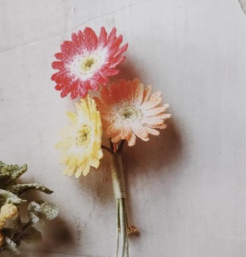 非洲菊水养的正确步骤和技巧是什么？