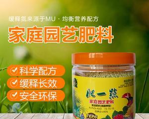 榕树盆景施肥的正确方法是什么？如何科学施肥？