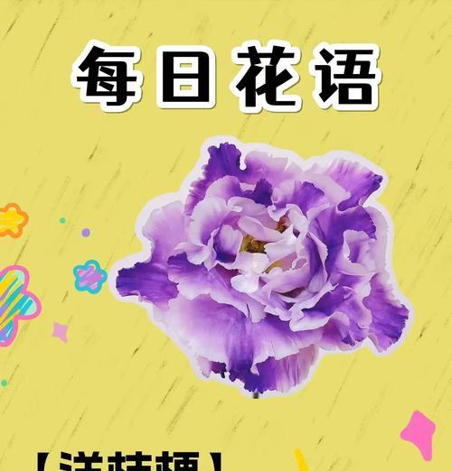 洋桔梗的养殖技巧有哪些？如何保持其花期长？